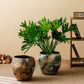 屋外用 大型ヴィンテージ陶器プランター｜庭木・観葉植物用